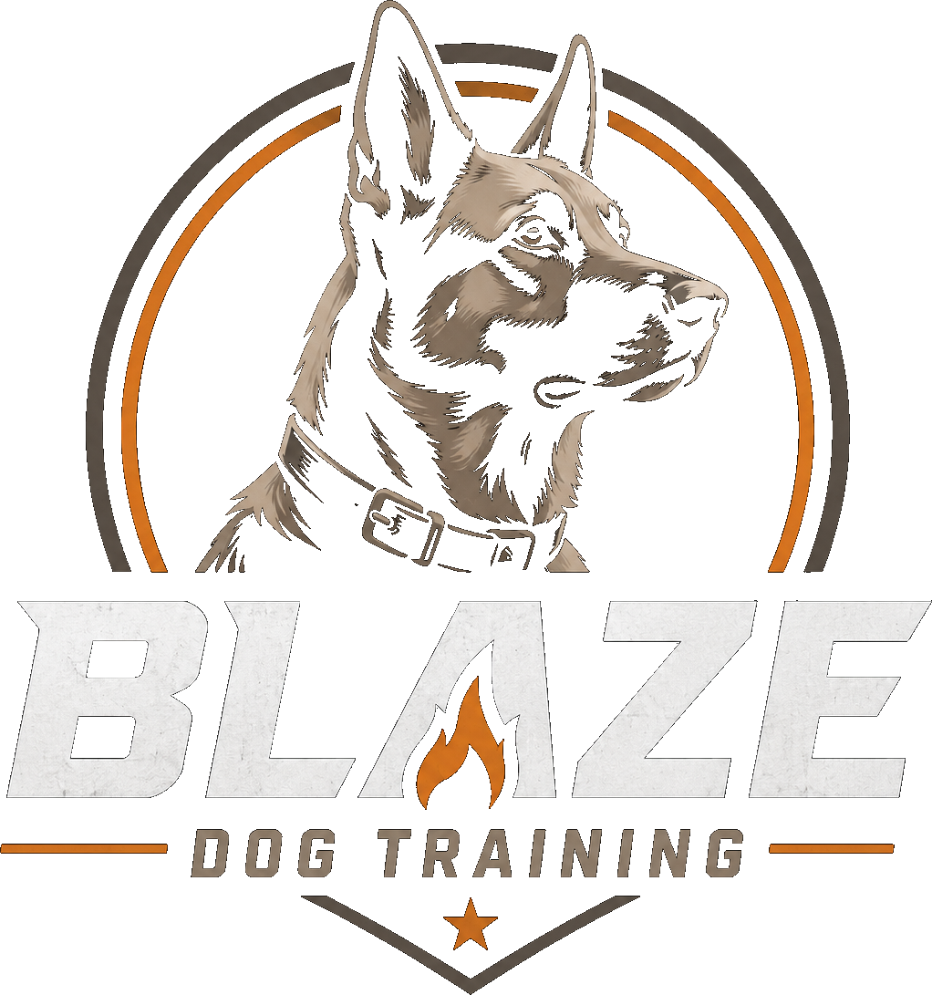 Blaze Dog Training logo, German Shepherd badge