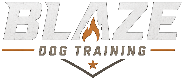 Blaze Dog Training